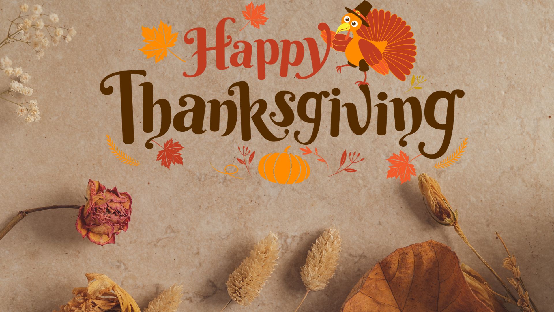 Happy Thanksgiving Wishes